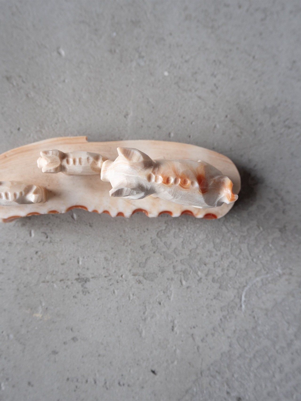 unknown vintage Conch shell pig sculpture ornament