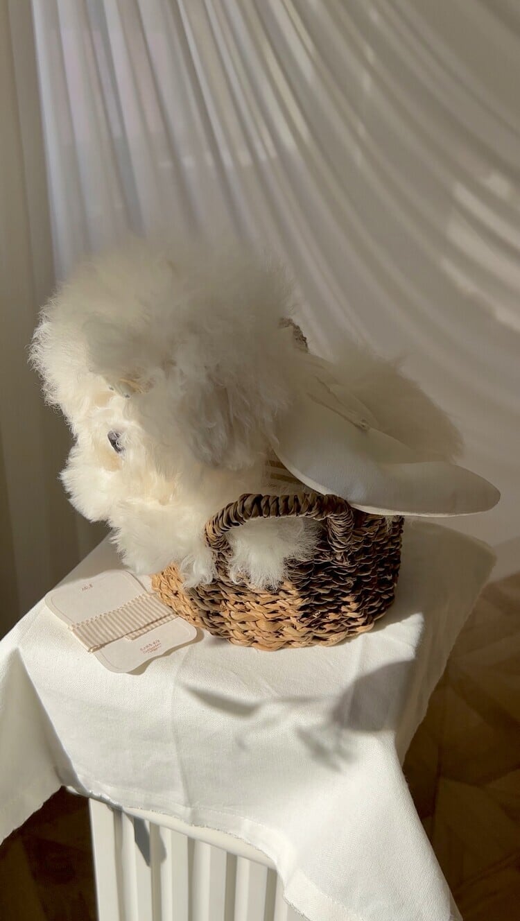 Sicggu 韓国　犬服 フード付き ハーネスコート pt166-2.jpg