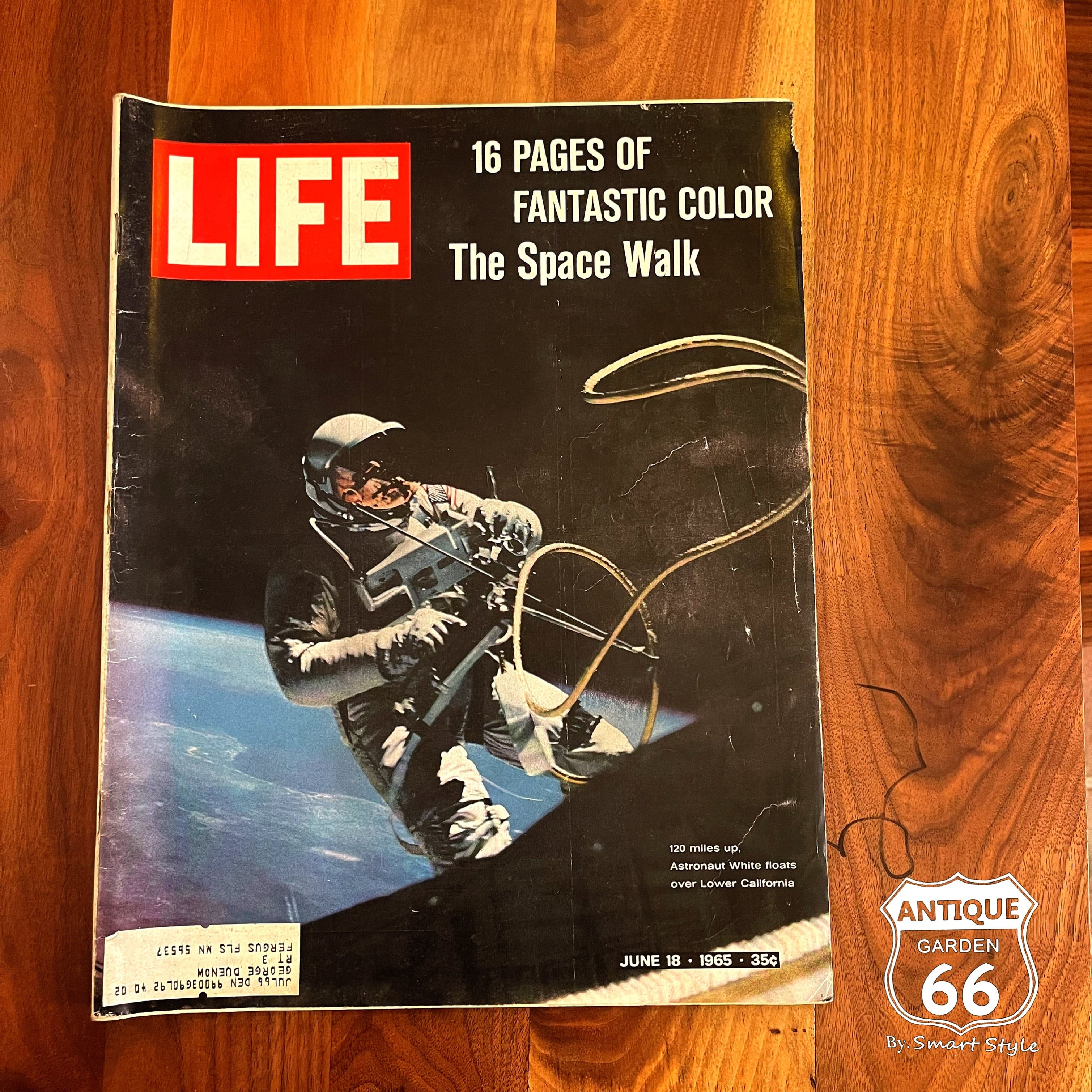 LIFE ライフ マガジン The Space Walk 宇宙遊泳 USA アメリカ 雑誌