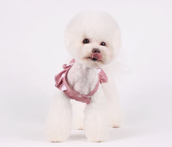 ハートビーチウェア S ~ XL 2color  /  犬服 夏 犬 ビキニ ドッグウェア 可愛い 犬の服 ペット ラッシュガード