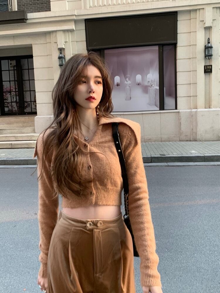 ニット スタンダードセーター トップス スプリングショートVネックカーディガンジャケット レトロ 春物 ブラックストロベリース30750794265