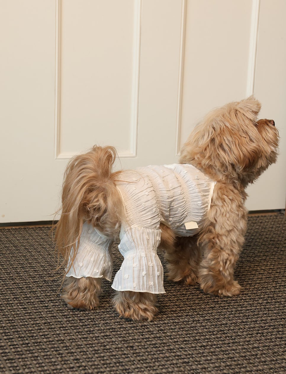 予約【noonoosoom】blossom puff all in one (Ivory)