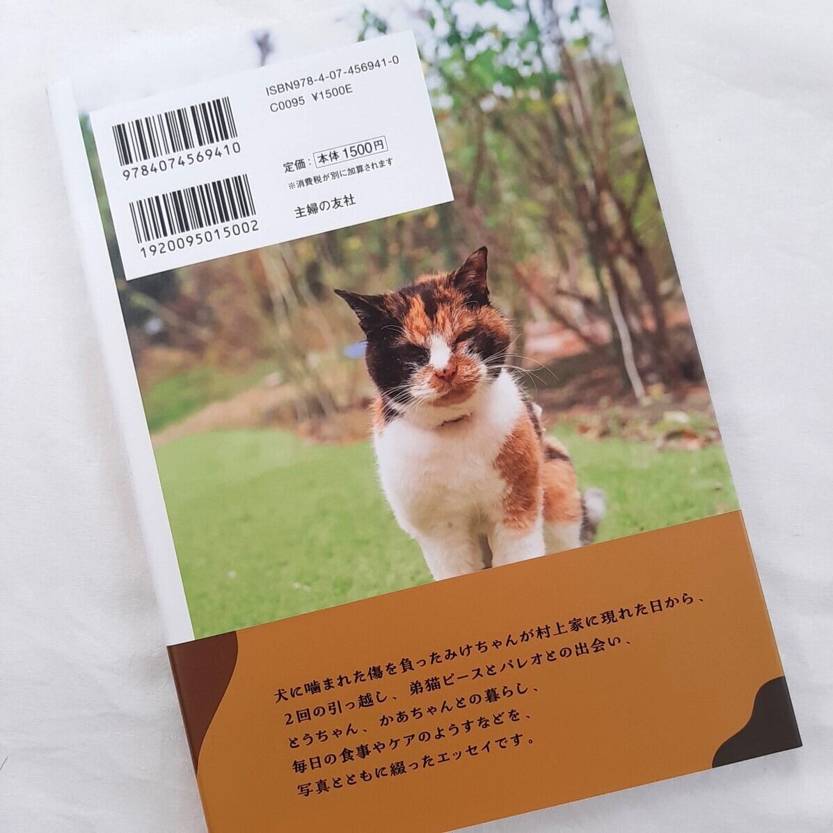 25歳のみけちゃん | ねこのみち