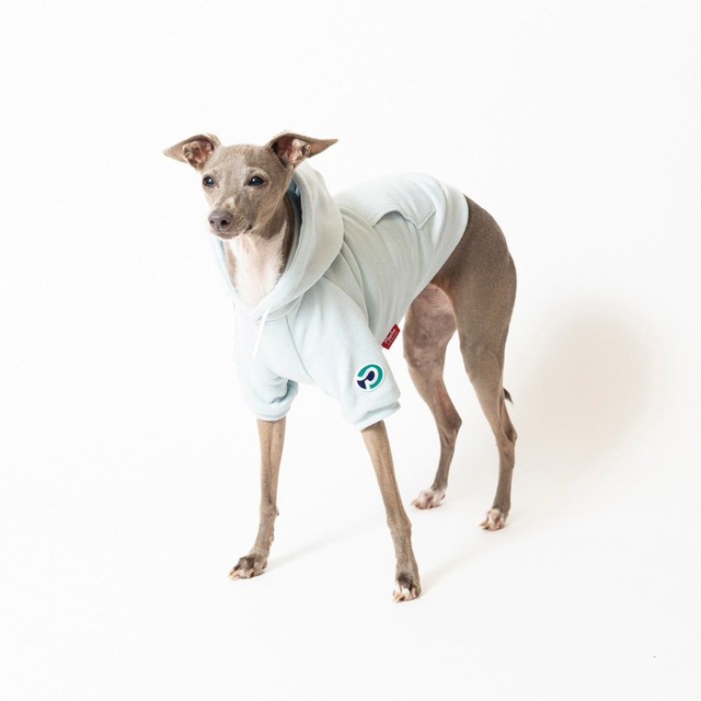 半袖プルオーバーパーカー2023　blue / イタグレ服