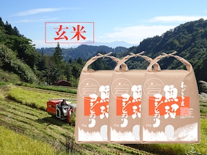 令和５年産米 魚沼コシヒカリ【玄米】特別栽培米 5kg×3