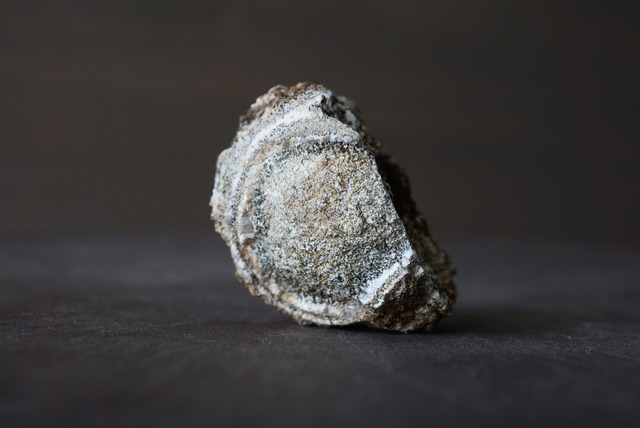 ナポレオン石 Napoleonite 871