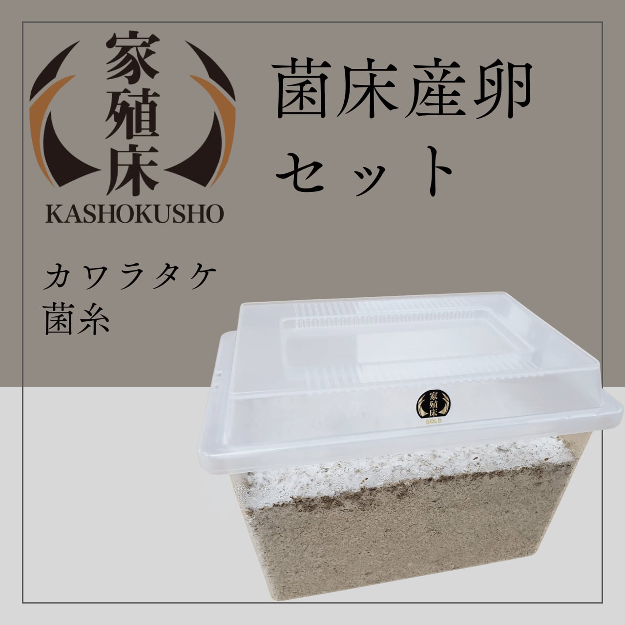 カワラ菌糸瓶 産卵用1400入手困難6本セット 月夜野きのこ園クワガタ菌床販売部 / 菌糸ビン（カワラ茸）N-1400
