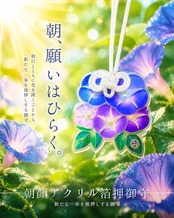 【令和八年 夏季限定】 朝顔アクリル箔押御守