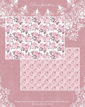 Rose junction 【D-3】