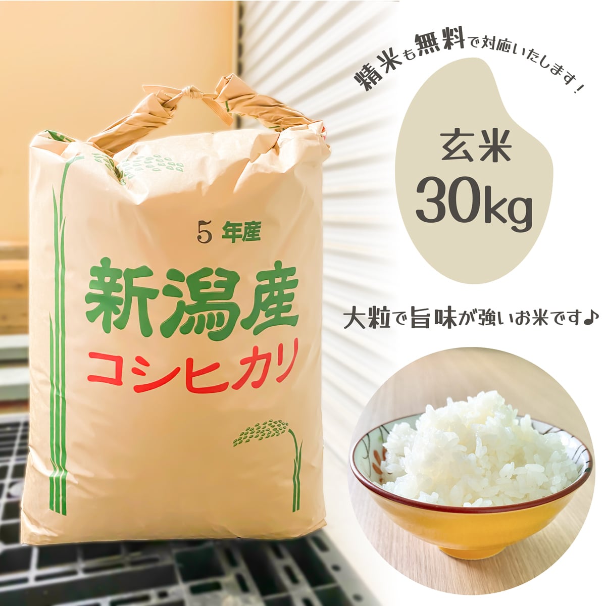 玄米30kg】こだわりのコシヒカリ【精米ご希望の場合、無料でやります！】　すずこめ｜こだわりのお米