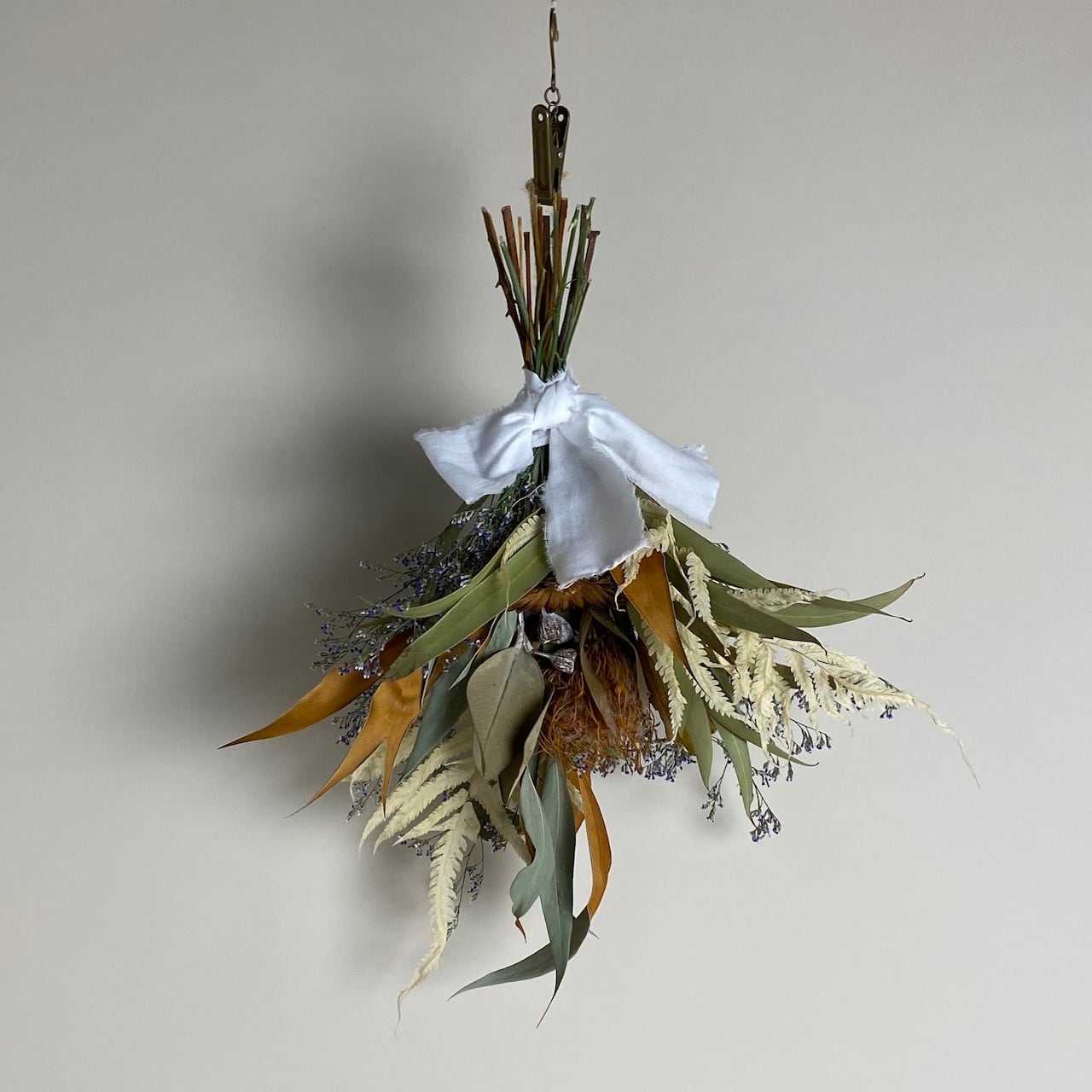 2.さくらんぼスワッグ swag | HANACHO exotics plants