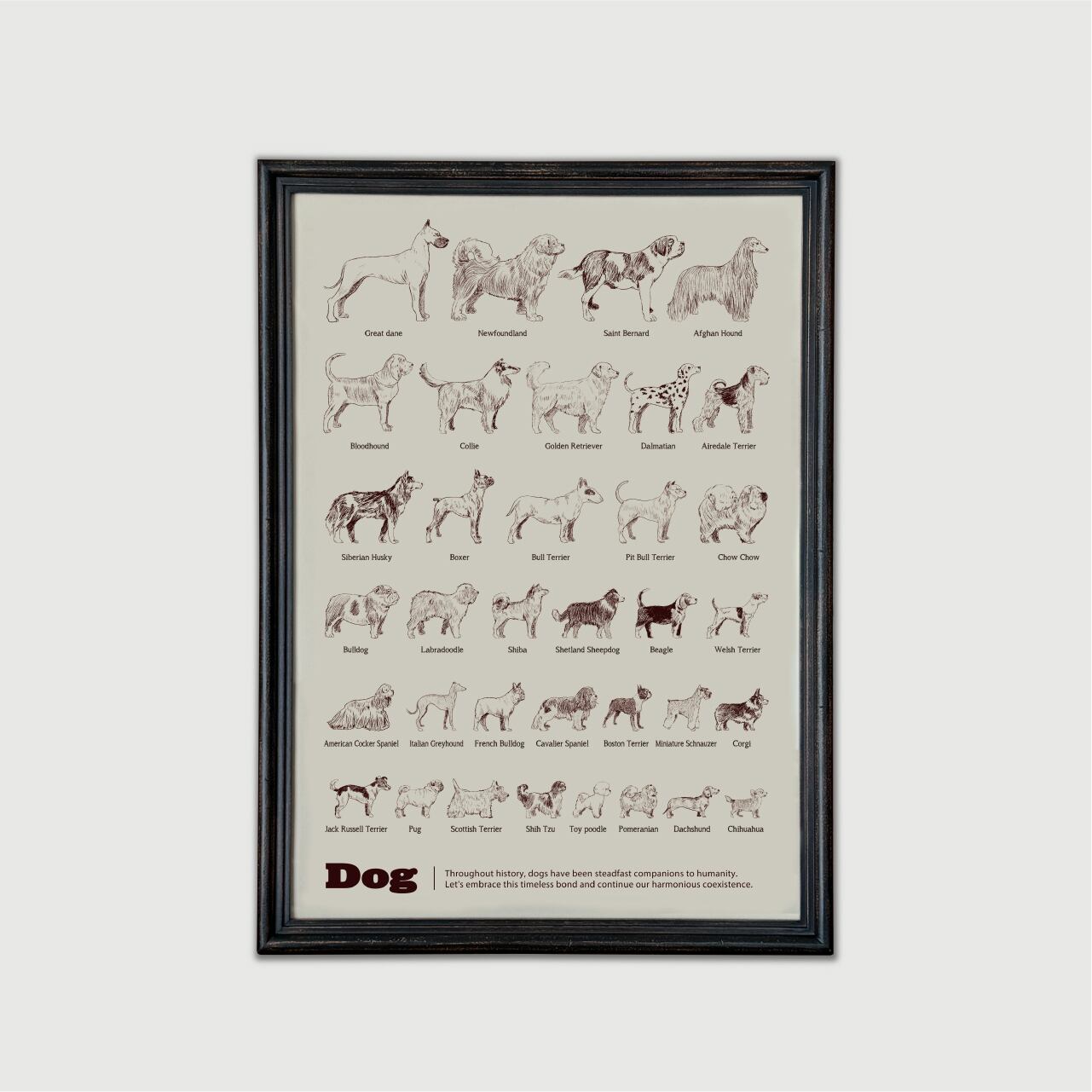 Dogs Poster Size: A3(297mm×420mm)