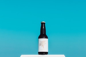 Novoru (Session IPA) / 12本セット