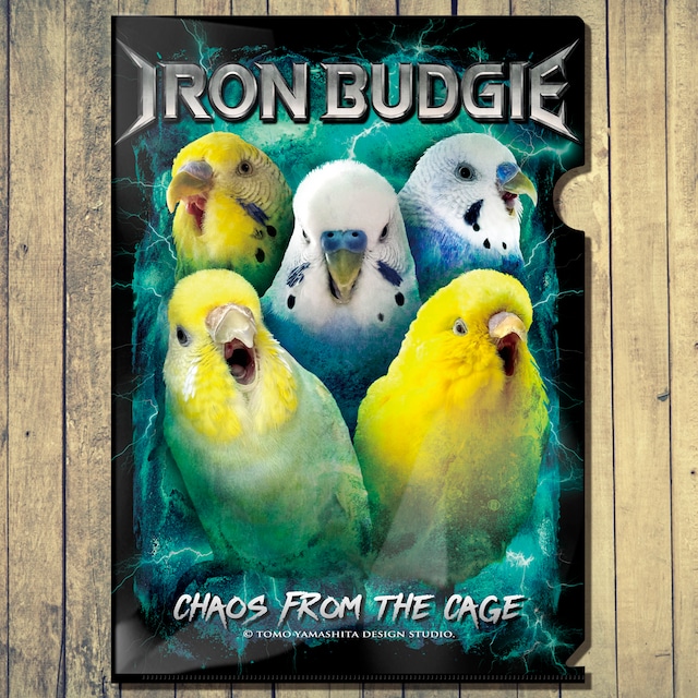 セキセイインコ メタルバンド アイアンバジー ( IRON BUDGIE ) A4クリアファイル