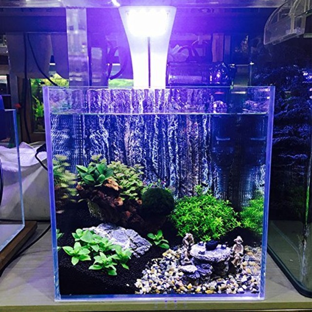 【特価セール】しんちんちん 水槽 30cm ライト 小型水槽 LEDアクアリウムライト ランプ24LED（20白4青） 10W 淡水 小粋なシステム 照明 熱帯魚 水草育成 30-60CM