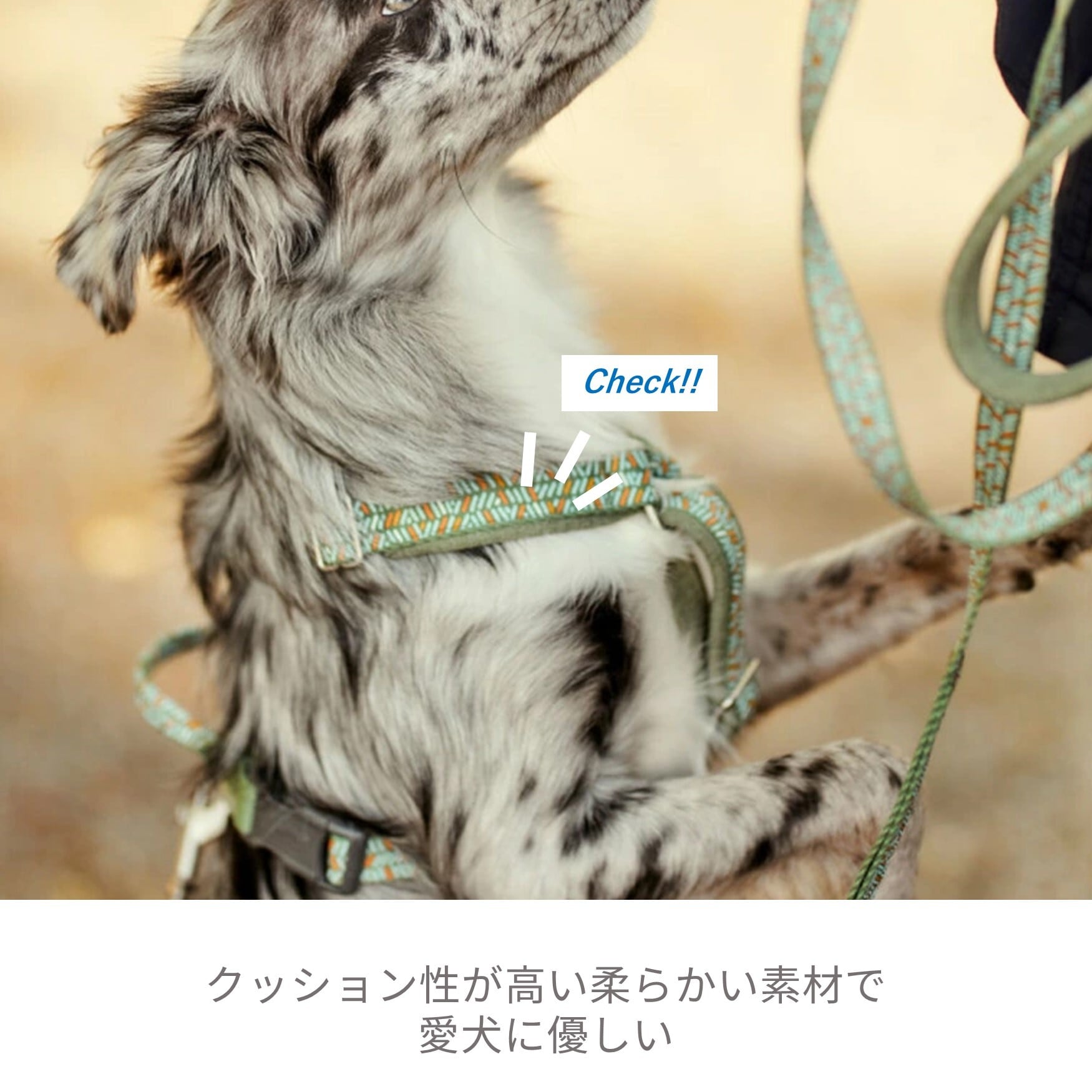 Hurtta】【フルッタ】・ラズルダズルシリーズ「Y型クッションハーネス