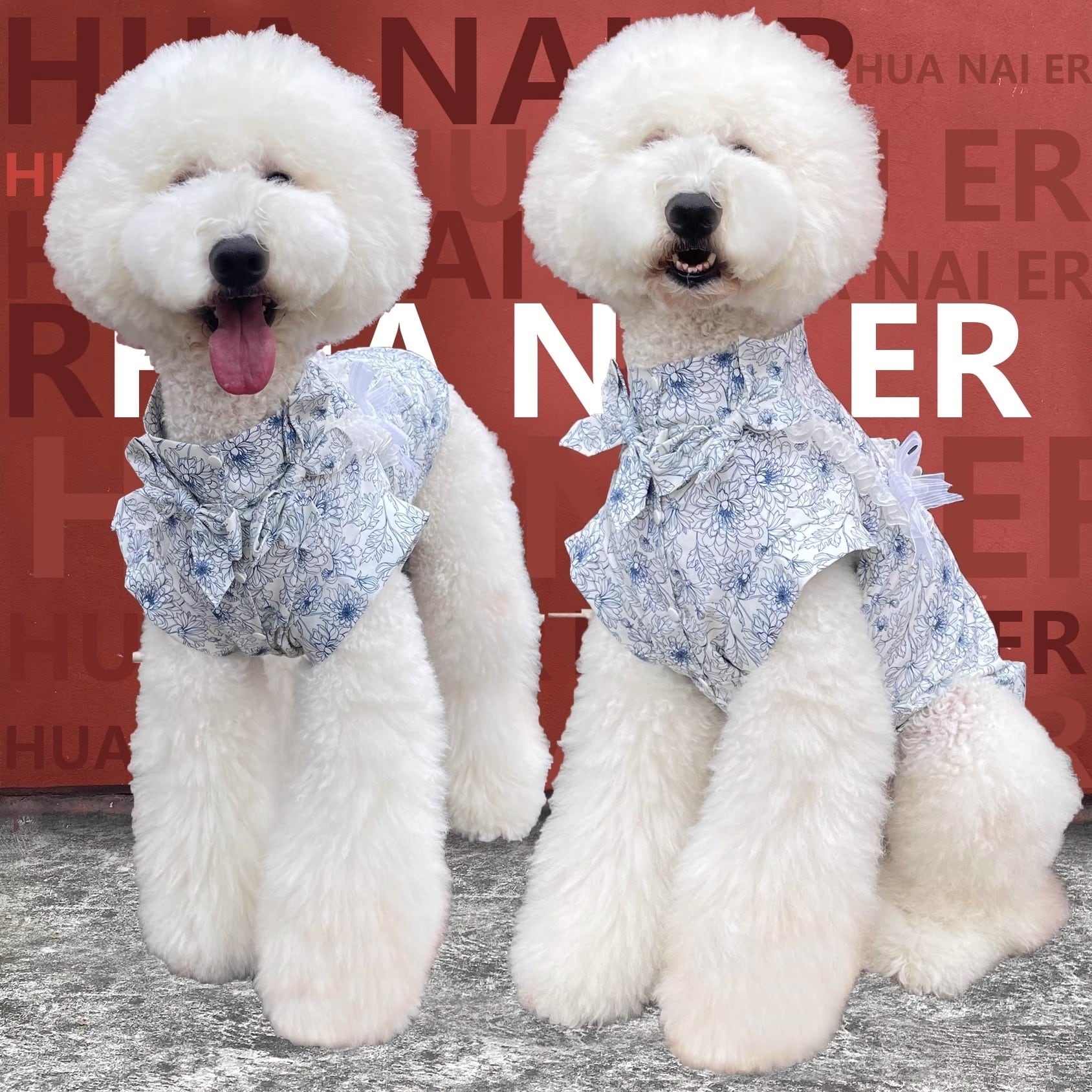 1f6d65a4007963a54118a585cc20f2