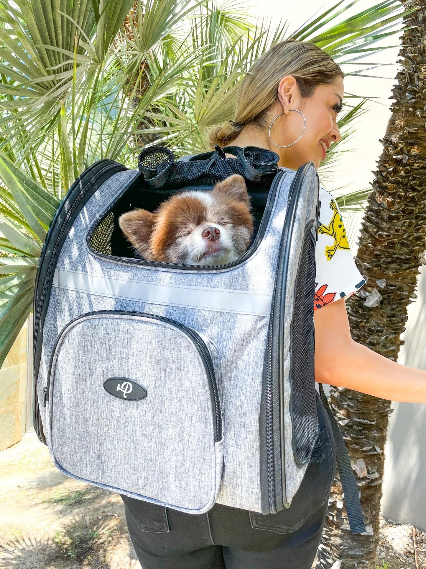 Petique ペティーク バックパッカー ペットキャリー キャリーバッグ
