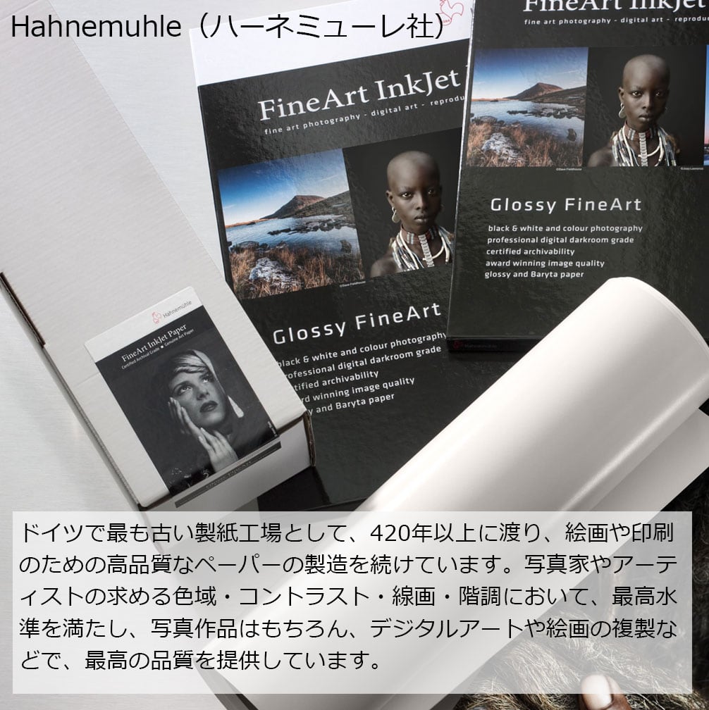 ポスター　立て　特寸法　白熊　額装仕上げ品 S-4008 | 株式会社福井金属工芸 ピクチャーレール