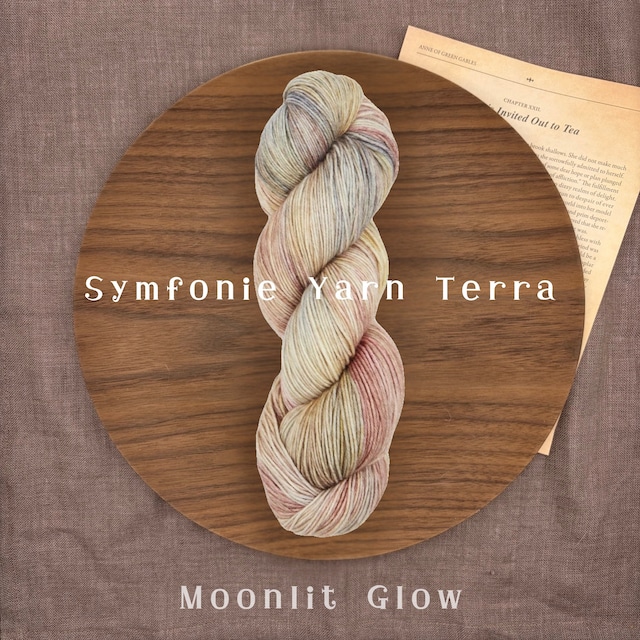 Symfonie Yarn 「Terra」- Moonlit Glow- 手染めソックヤーン 中細 100g 400m 靴下編み 毛糸 ニットプロ