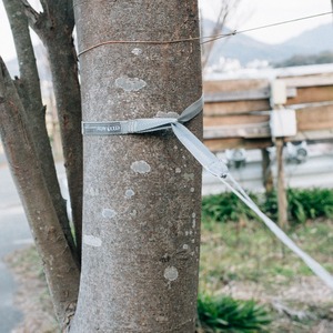 eno / Helios Ultralight Suspension System
