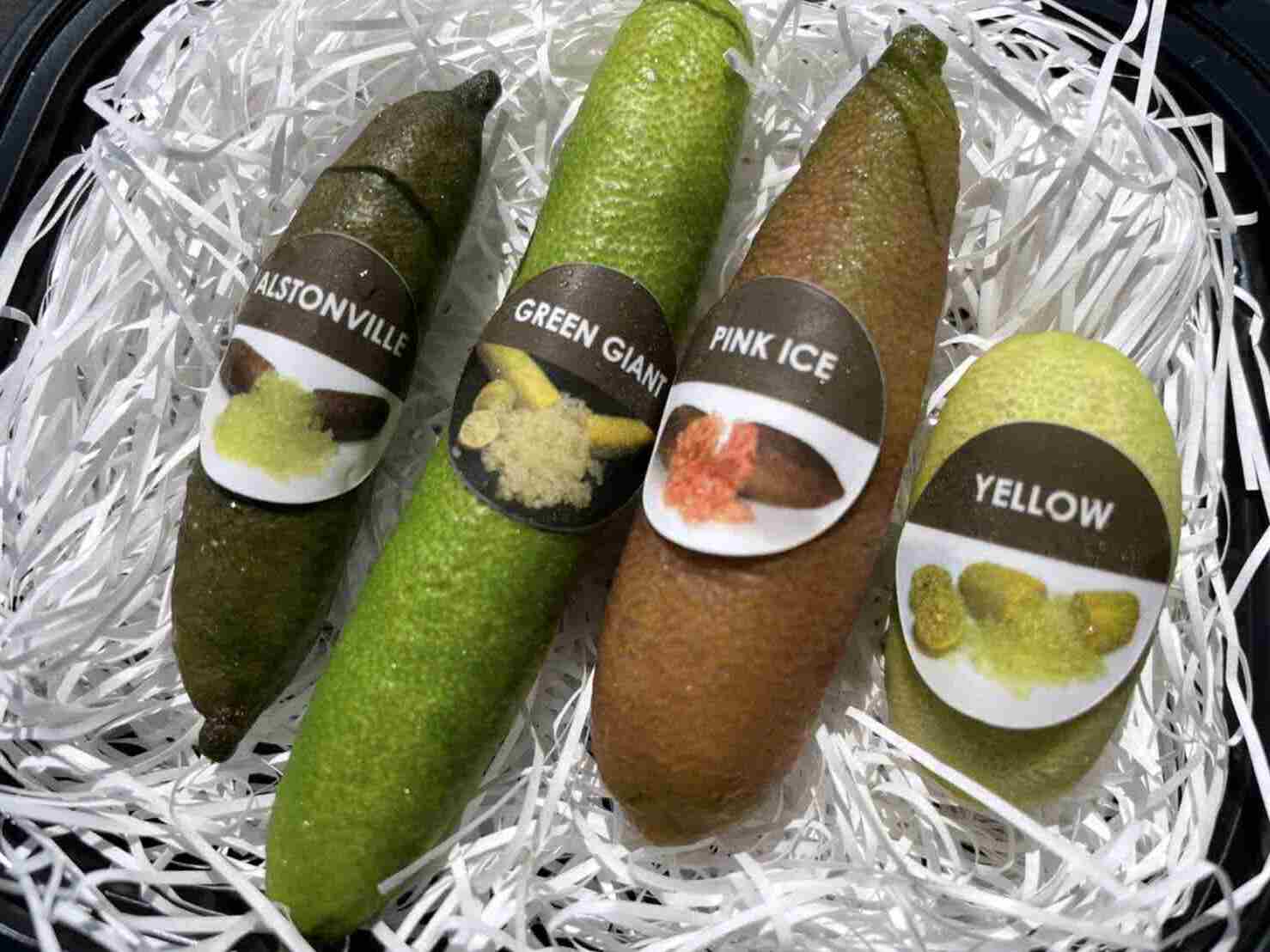 【期間限定販売】【送料込】3パック フィンガーライム果実ミックス 50g入【種極少】