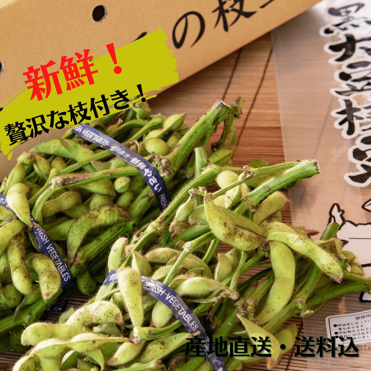 丹波黒大豆枝豆 2kg 枝付き 1kg 2 丹波篠山 味処 みたけ