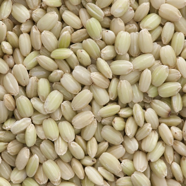 白米9kg・三色米500g×2 セット