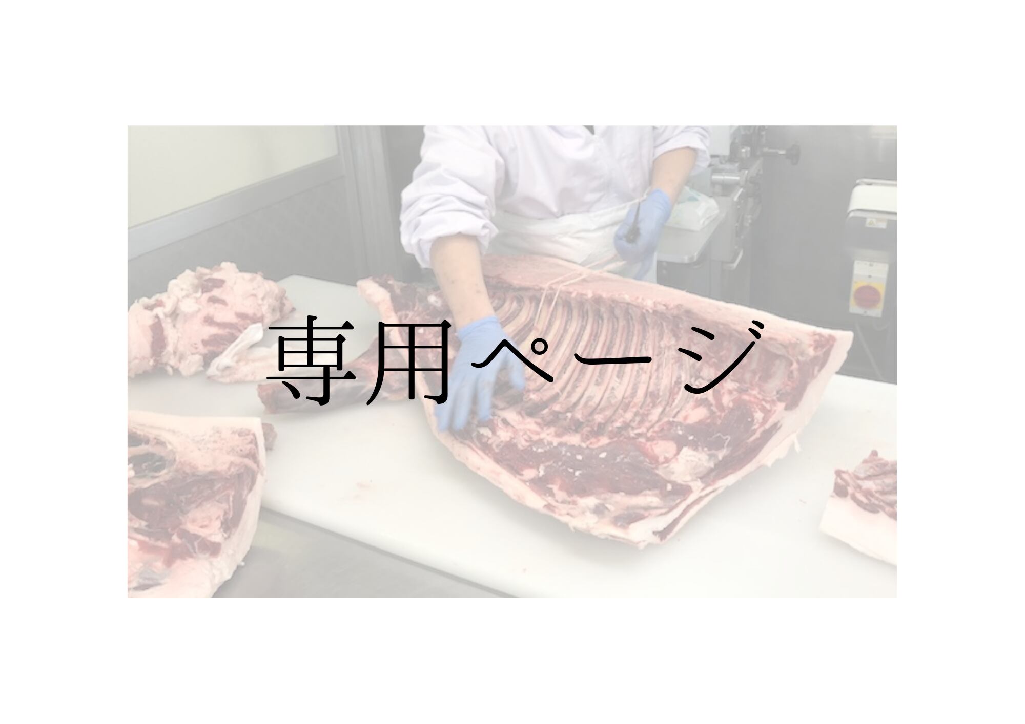 うり防様専用 ウリ坊さま専用 かーぼう様専用です ウリ坊様 うり防様専用 ウリ坊さま専用 かーぼう様専用です ウリ坊様