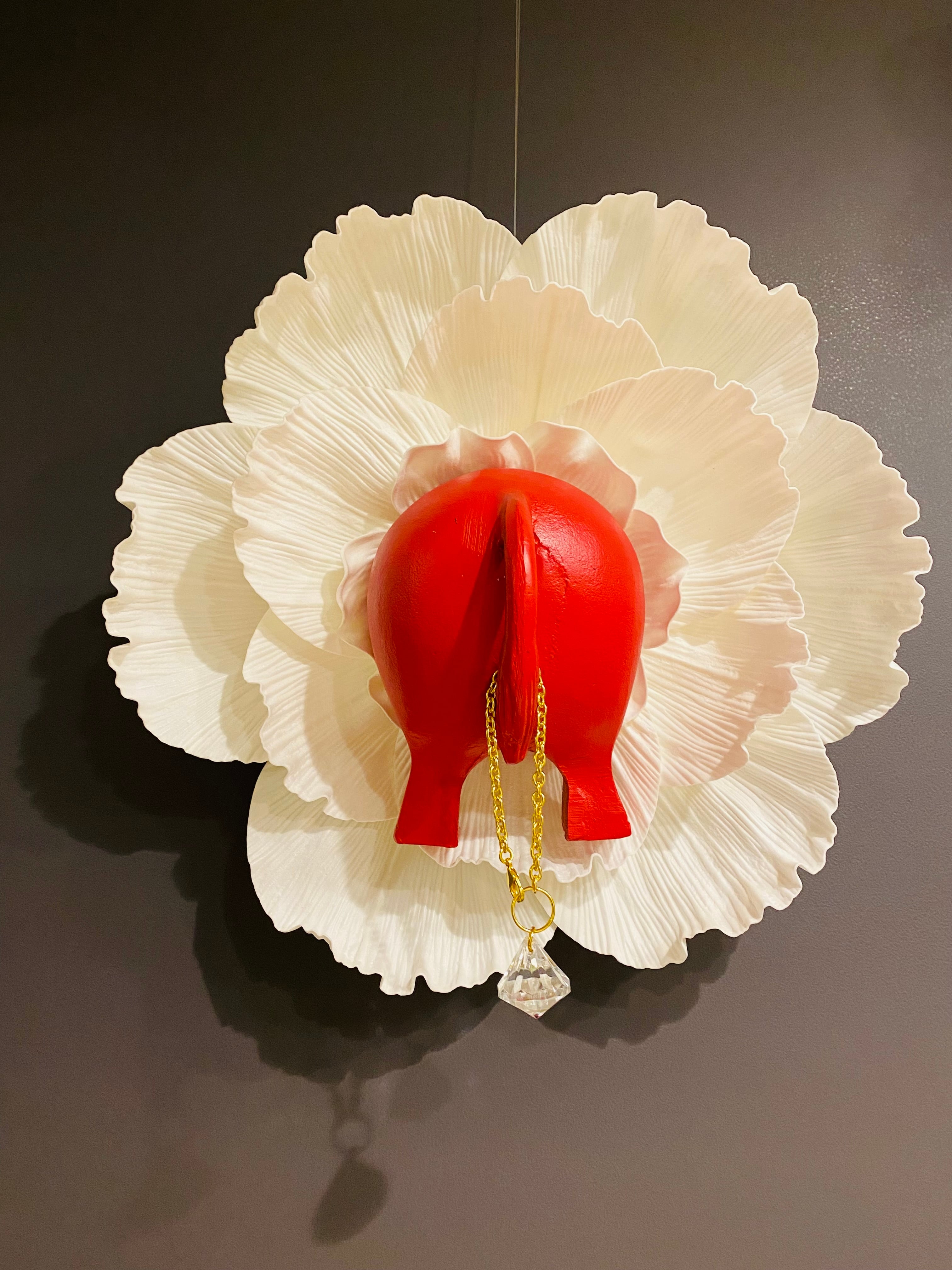 SHELLY』 | Happy IS.