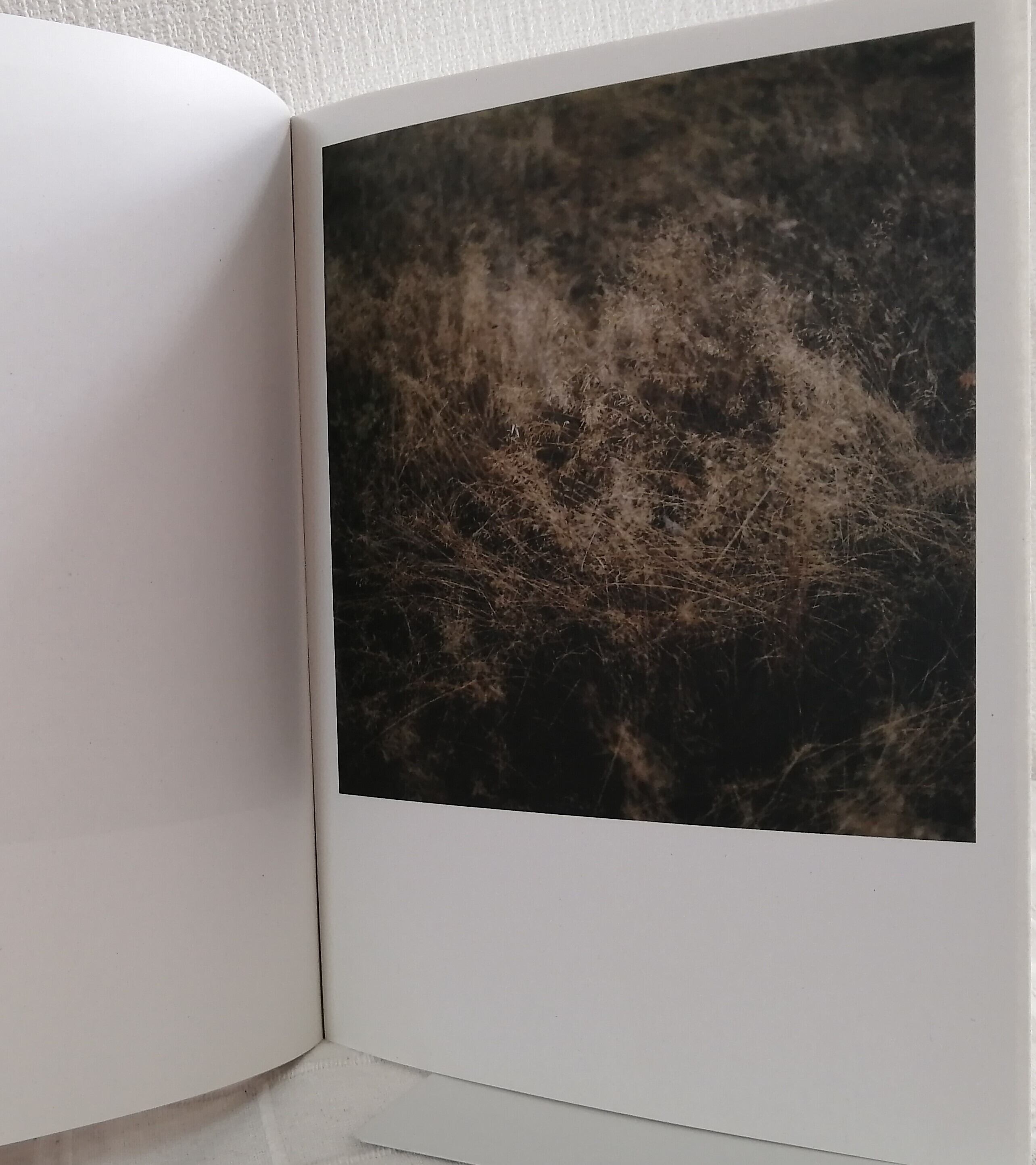 【サイン入り】WIESE by Anne Schwalbe アンネ・シュヴァルベ サイン入り】WIESE by Anne Schwalbe アンネ・シュヴァルベ