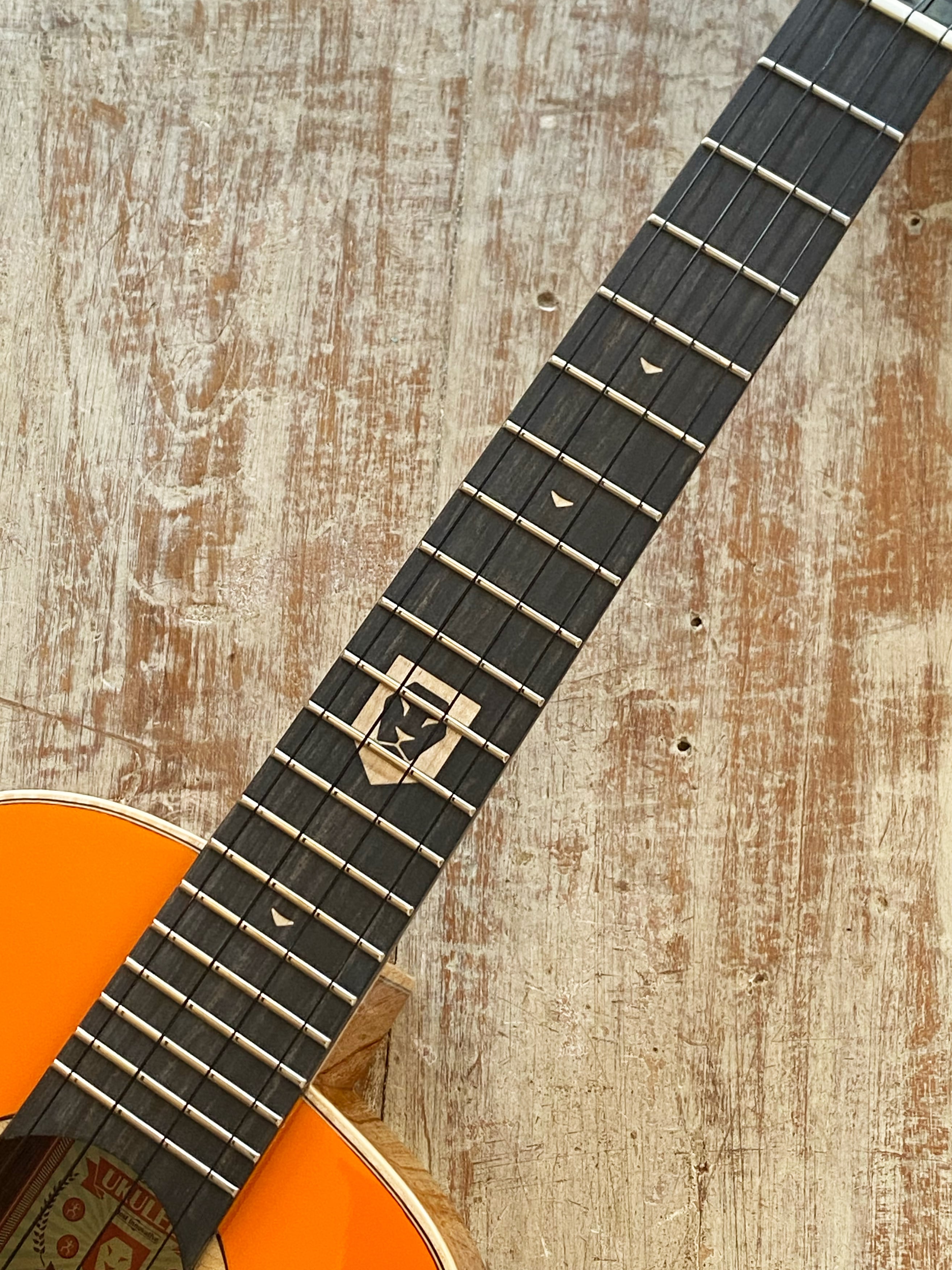 aNuenue アヌエヌエ テナー ウクレレ aNN-LOUT LION（獅子合唱團