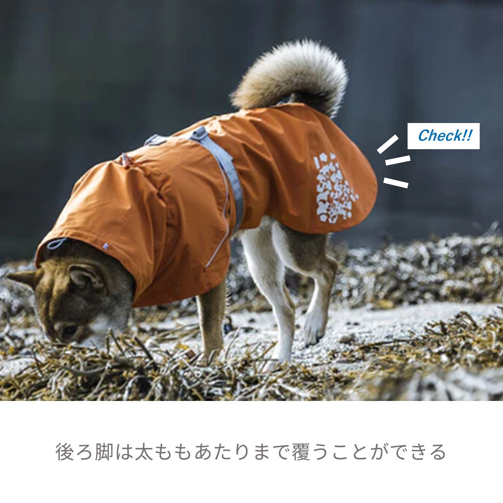 フルッタ（Hurtta）　レインコート　（マントタイプ　レインコート） 楽天市場】【Hurtta】【フルッタ】・レインコート「モンスーン