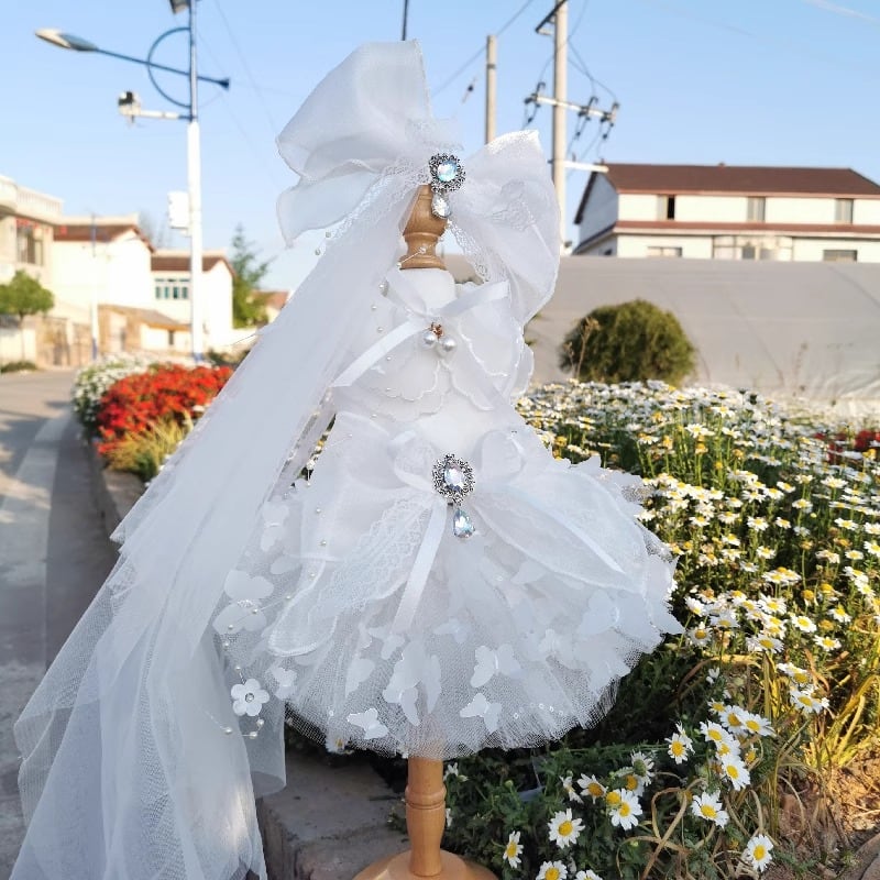 リングドッグオーダー専用ページ リングドッグオーダー専用ページ