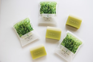 2026 Rin'sシーズナルソープ・新茶 70g