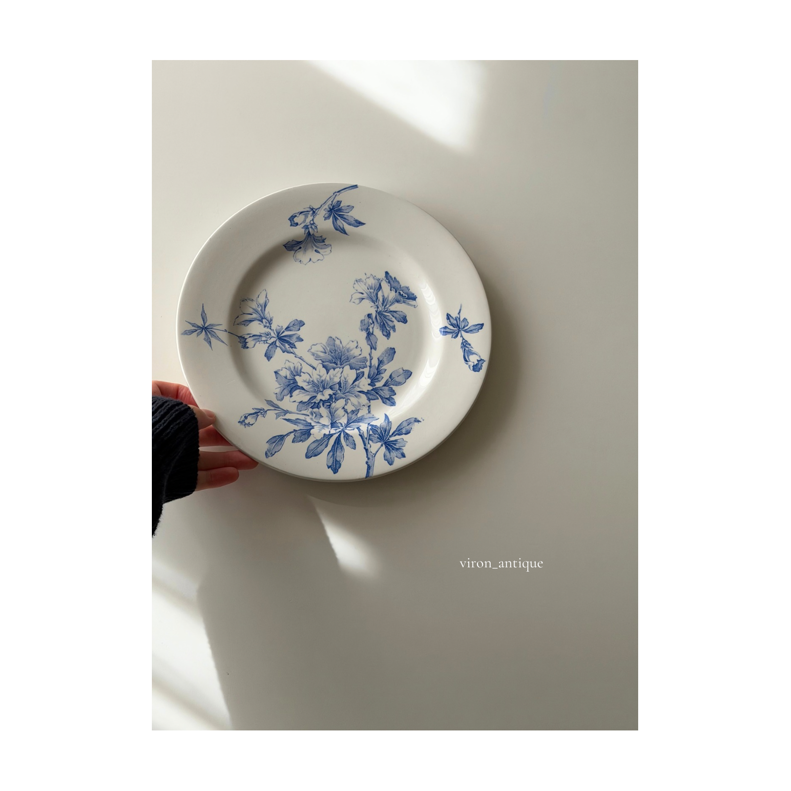 Luneville リュネヴィル / “AZALEA” アザレアの平皿プレート b