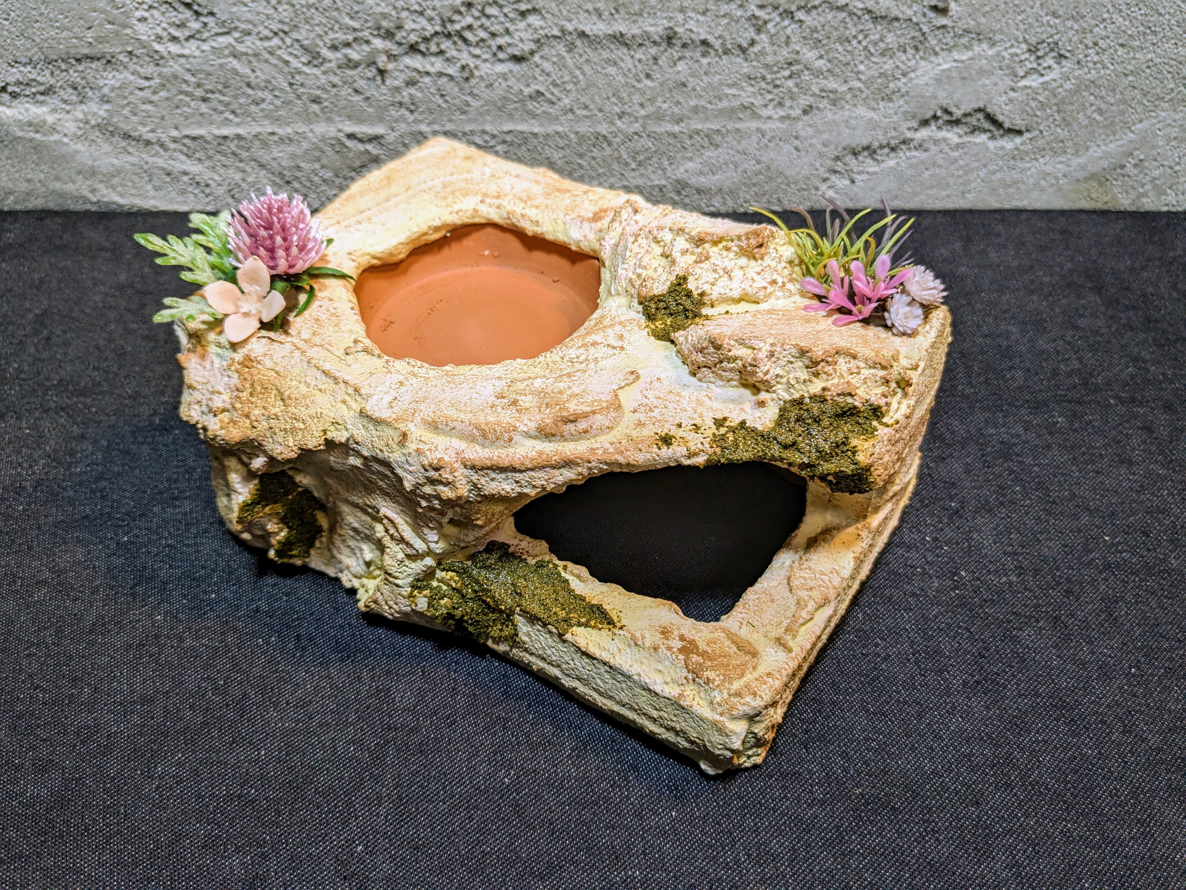 爬虫類用造形アート ともえ屋