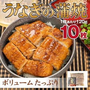 炭火焼うなぎ蒲焼 120g×10袋セット【本商品を使用したレシピ5種類付】