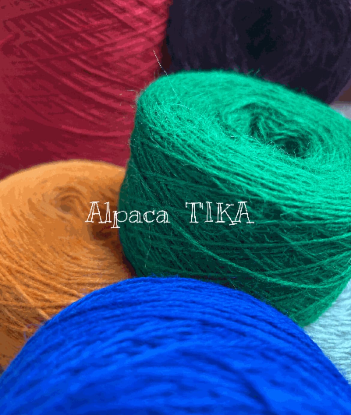 アルパカ専門店T'IKA