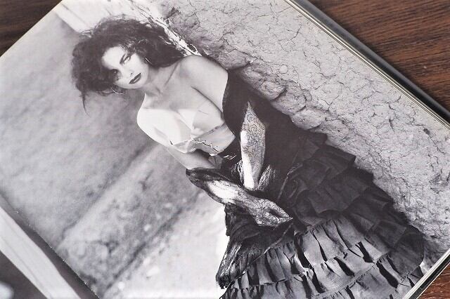 VF104】GIAN PAOLO BARBIERI PREFACE DE GIORGIO ARMANI /visual book