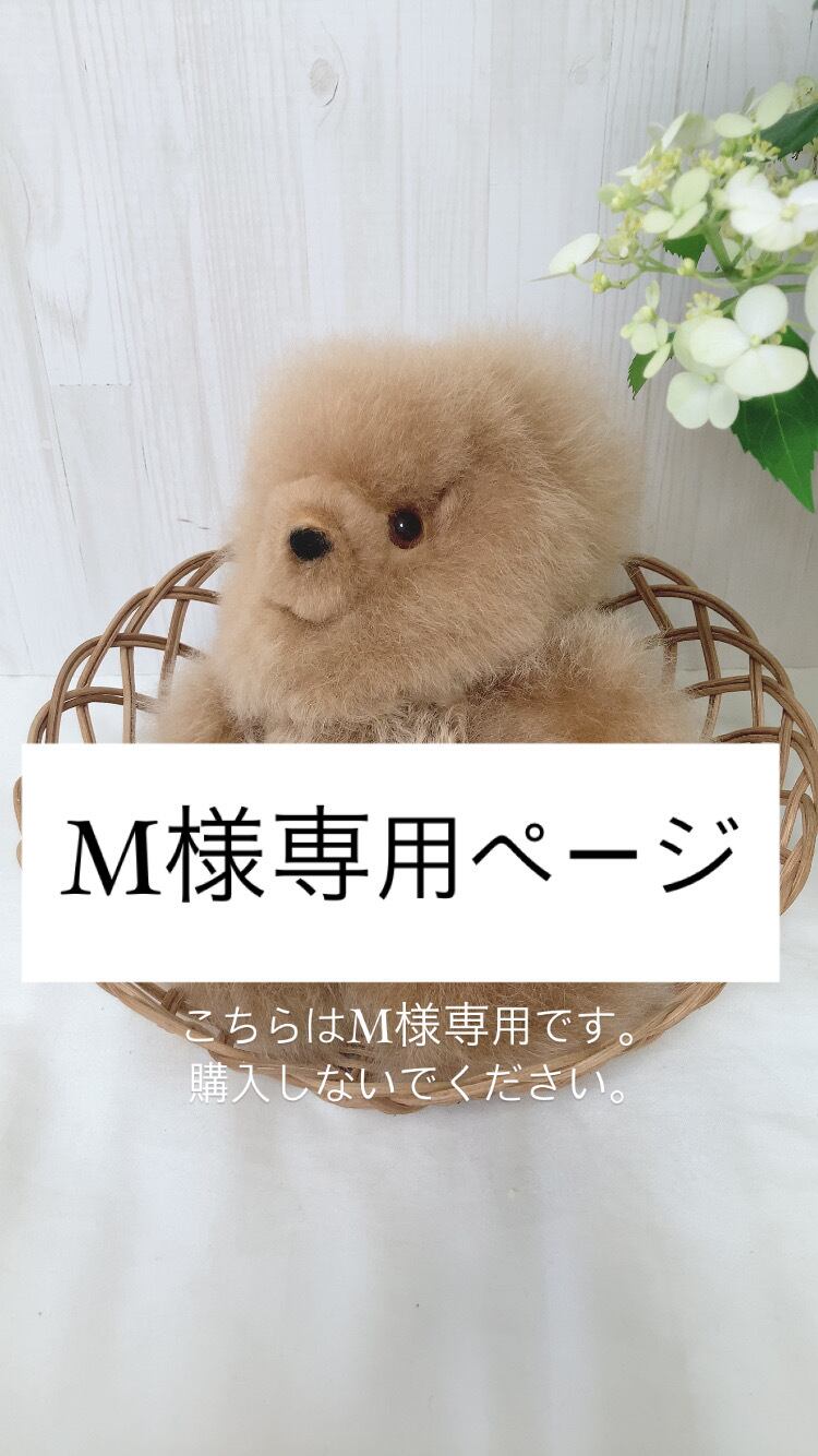 ☆マルさま専用です☆ まるさま専用 Mさま 専用 SmartNetcommunity