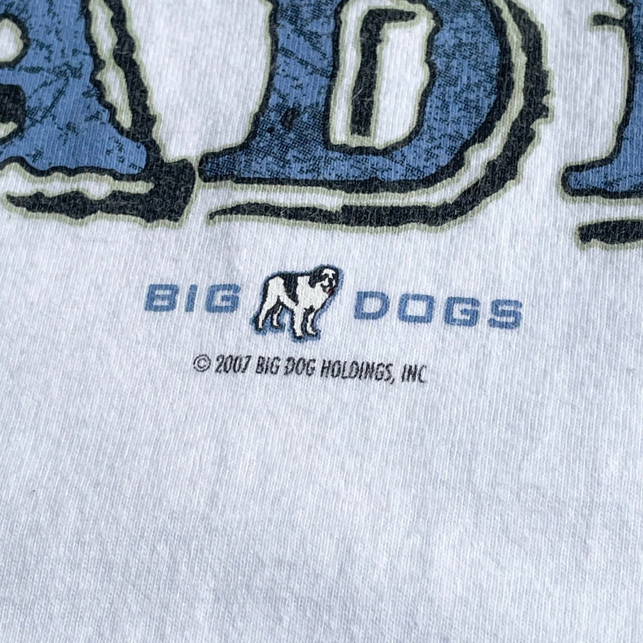 ★90s BIG DOGS ヘンリーネック Tシャツ 犬 アニマル 刺繍 緑