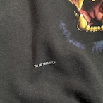 90s USA製 SALEM NFL PANTHERS スウェット ブラック