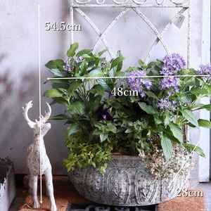 寄せ植え　大きな寄せ植え　フェンス付きプランター｜届いてすぐ飾れる完成品｜玄関にオススメ｜新築・開店祝いギフト｜モンディマンシェ