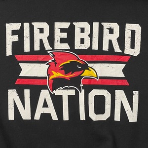 【GILDAN】ロゴプリント FIREBIRD NATION スウェット パーカー プルオーバー フーディー XL ビッグシルエット US古着