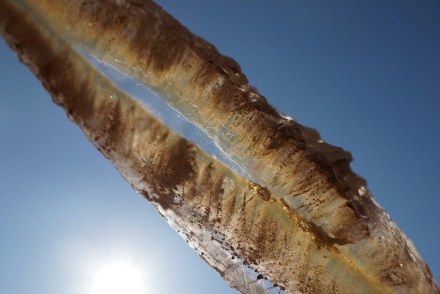 スペイン産バイカラーセレナイト Selenite  981