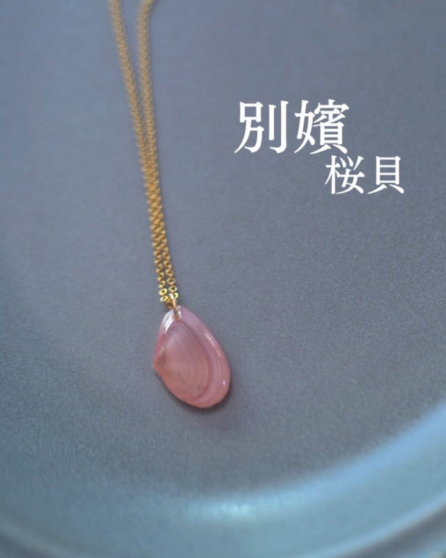 【別嬪桜貝】さくらひとえ ネックレス 14KGF モモノハナガイ #061113