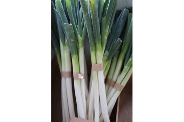 長ネギ(青森県産)・200g