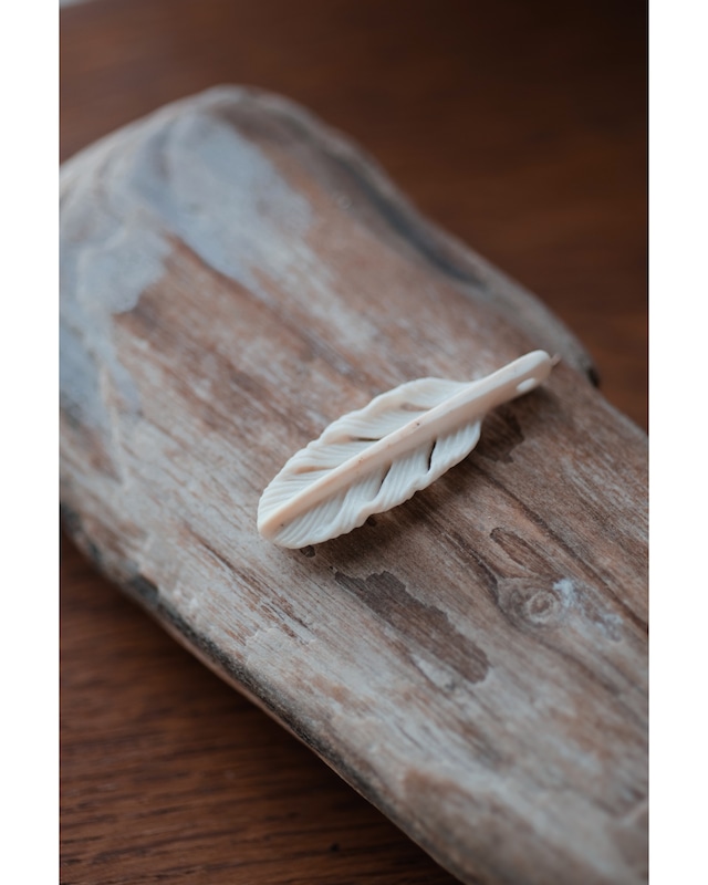 pendant (L) _ on crinoid star_ 001