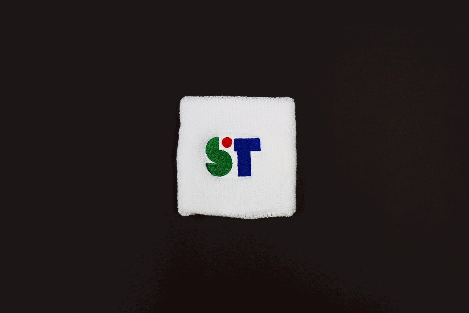 チームサナエ Veanas号公式グッズ販売ショップ〈高市早苗グッズストア〉